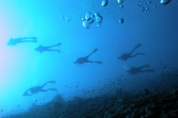 20000905_Shaab_Sharm_0004